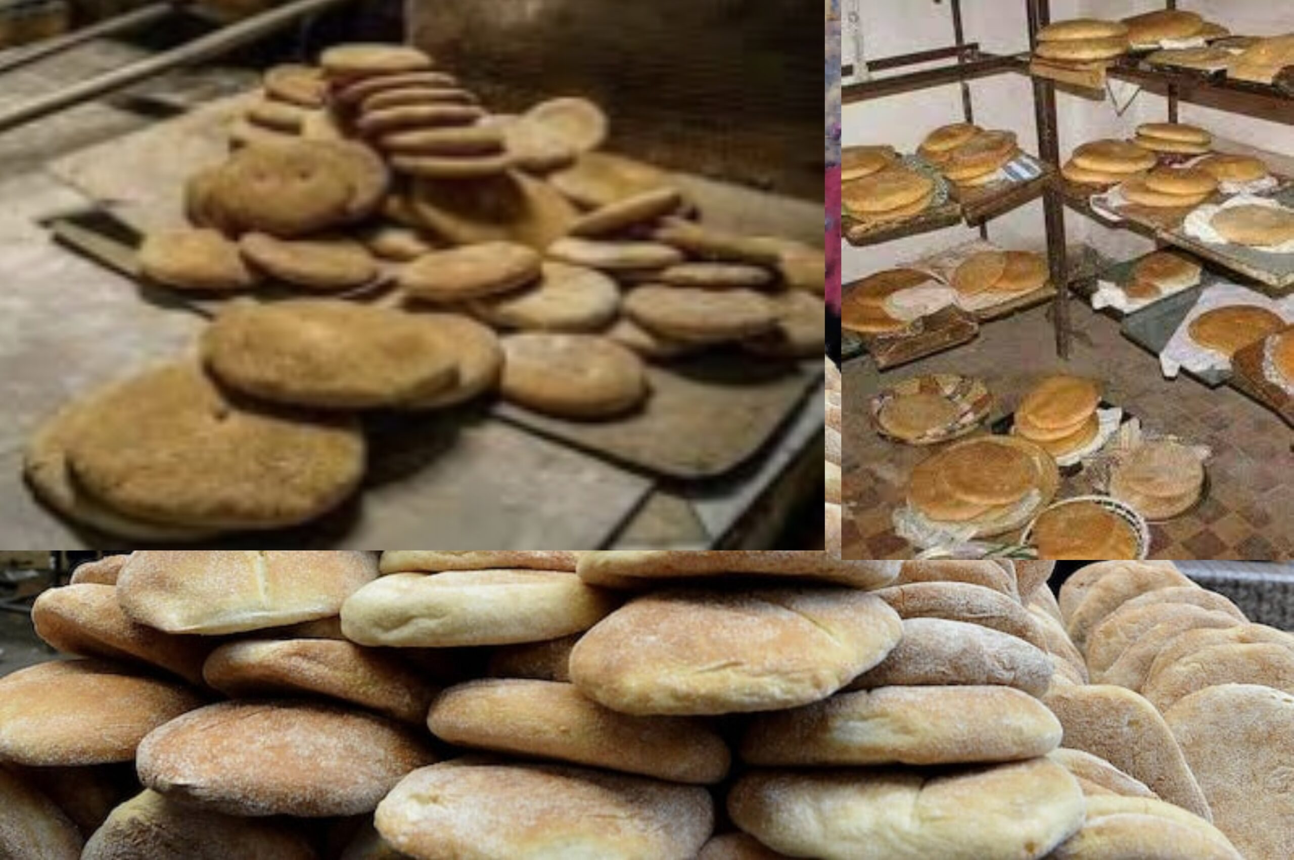أحكام صناعة الخبز من خلال بعض المدونات الفقهية